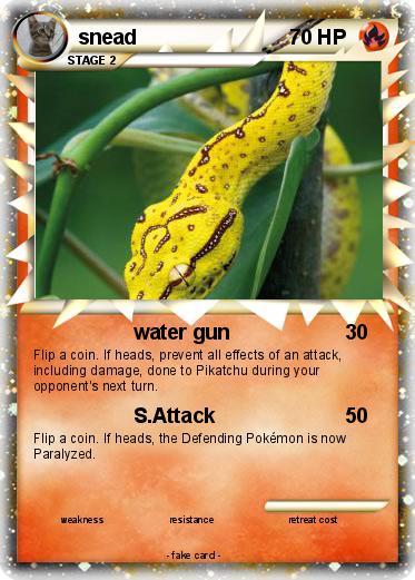 Pokemon snead
