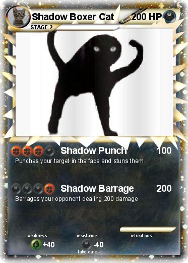 Pokemon Shadow Boxer Cat