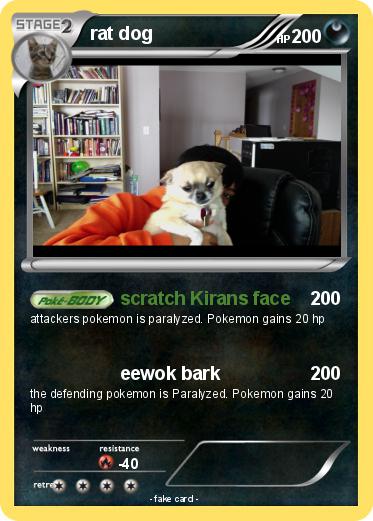 Pokemon rat dog