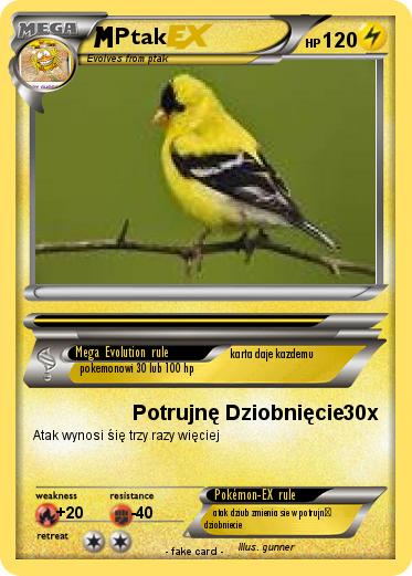 Pokemon Ptak