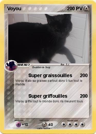 Pokemon Voyou
