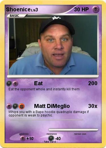 Pokemon Shoenice