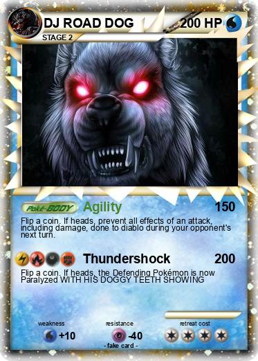 Pokemon DJ ROAD DOG