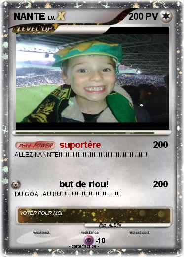 Pokemon NANTE