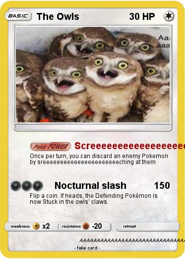 Pokemon The Owls