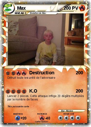 Pokemon Max