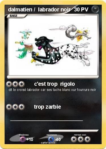 Pokemon dalmatien /  labrador noir