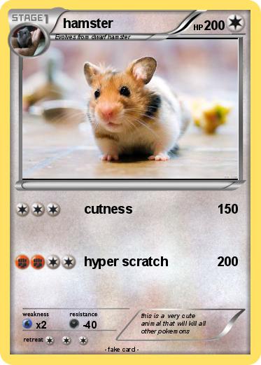 Pokemon hamster
