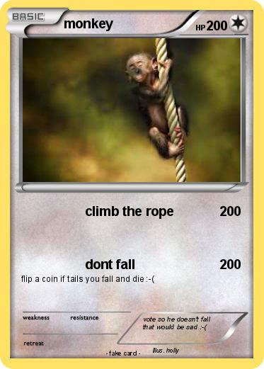 Pokemon monkey