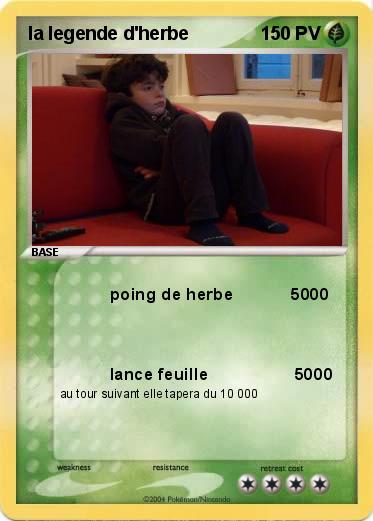 Pokemon la legende d'herbe