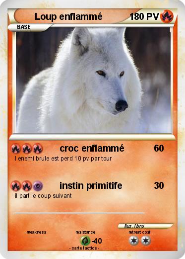 Pokemon Loup enflammé