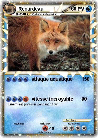 Pokemon Renardeau