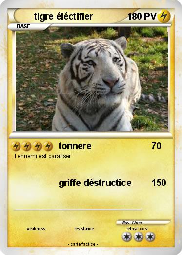 Pokemon tigre éléctifier