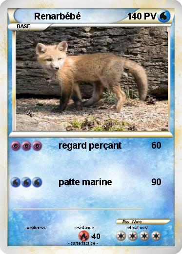 Pokemon Renarbébé