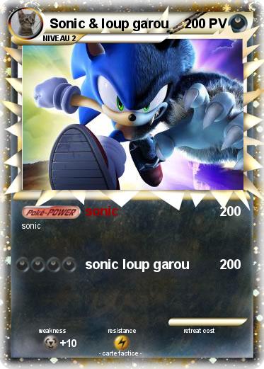 Pokemon Sonic & loup garou
