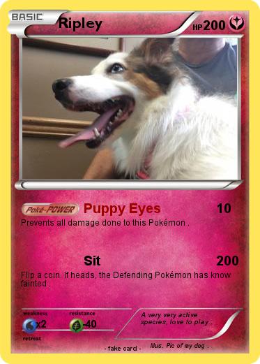 Pokemon Ripley