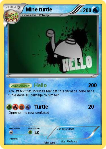 Pokemon Mine turtle