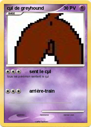 Pokemon cµl de greyhound