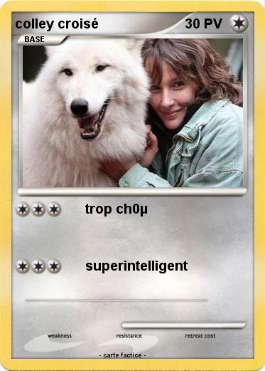 Pokemon colley croisé