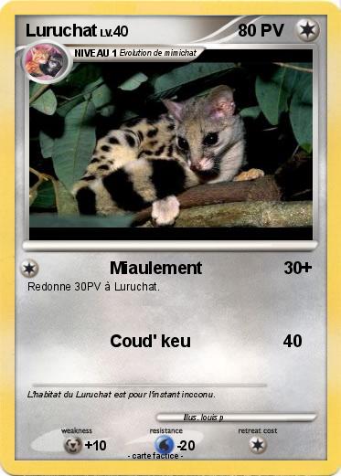 Pokemon Luruchat