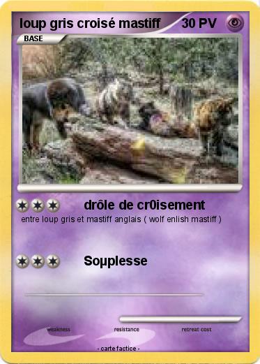 Pokemon loup gris croisé mastiff
