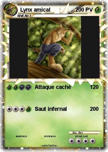 Pokemon Lynx amical