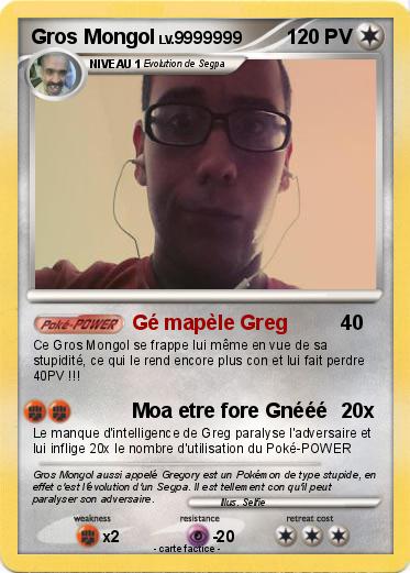Pokemon Gros Mongol