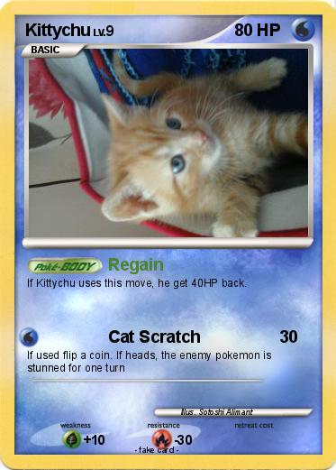 Pokemon Kittychu