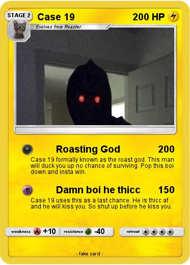 Pokemon Case 19