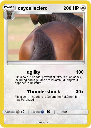 Pokemon cayce leclerc