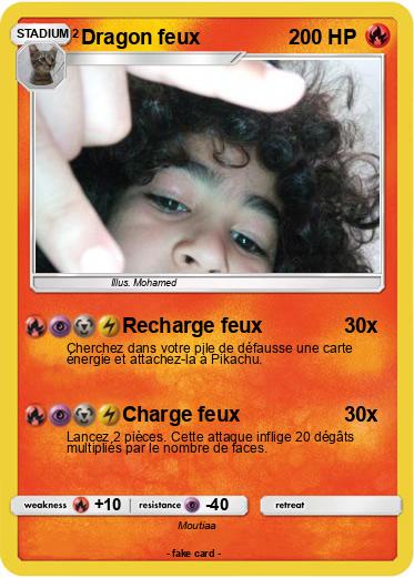 Pokemon Dragon feux