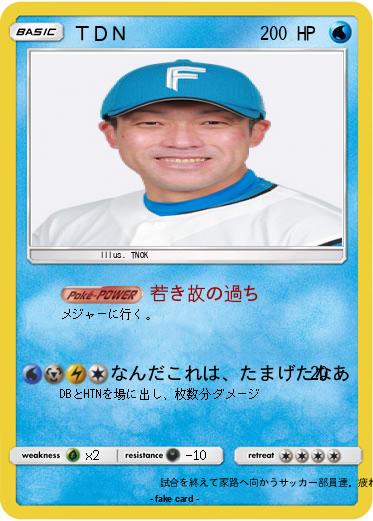 Pokemon ＴＤＮ