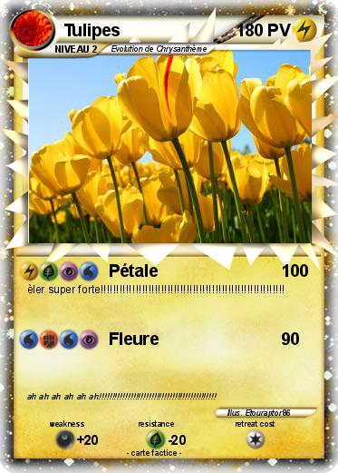 Pokemon Tulipes