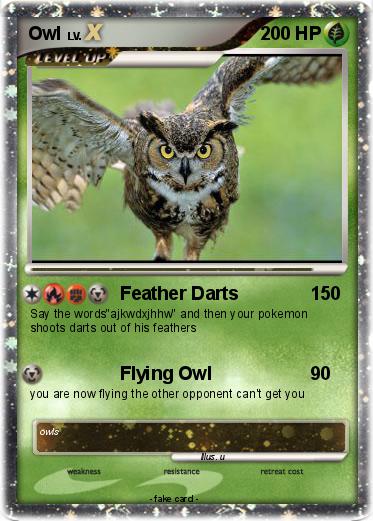Pokemon Owl