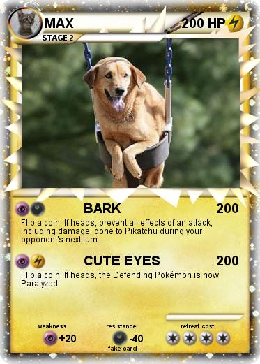 Pokemon MAX