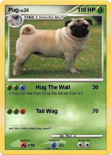 Pokemon Pug