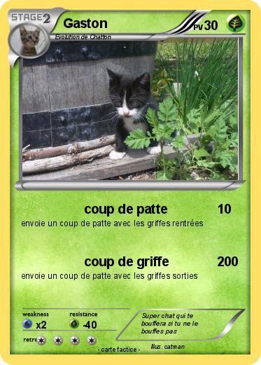 Pokemon Gaston