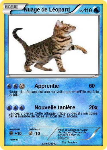Pokemon Nuage de Léopard