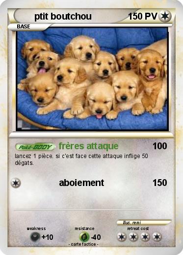 Pokemon ptit boutchou