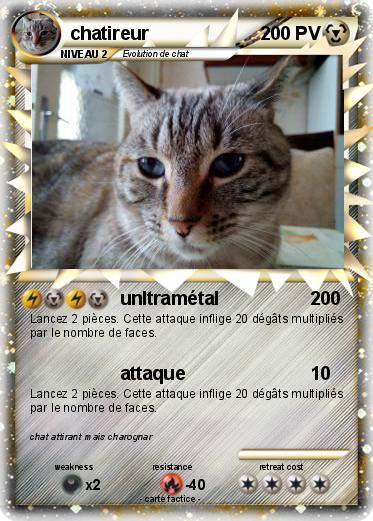 Pokemon chatireur