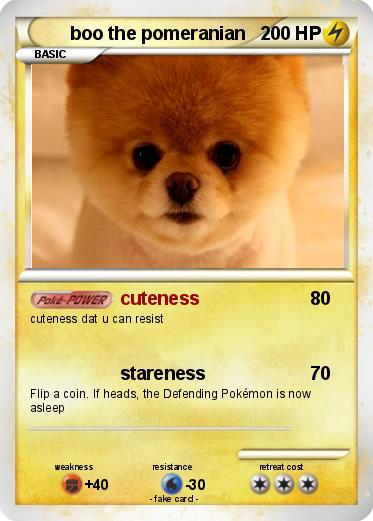 Pokemon boo the pomeranian
