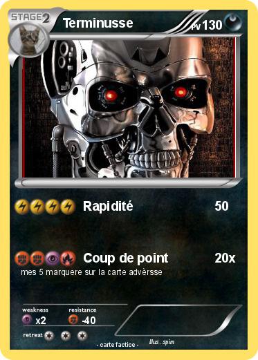 Pokemon Terminusse