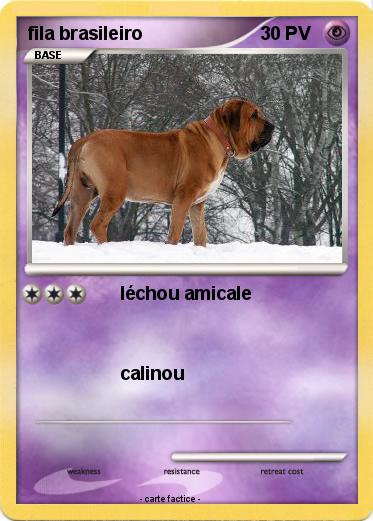 Pokemon fila brasileiro