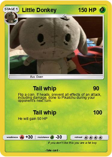 Pokemon Little Donkey