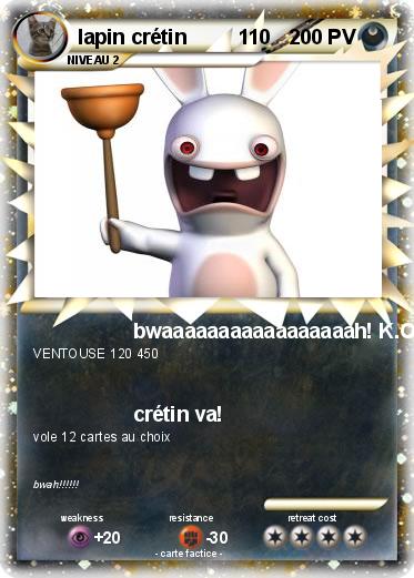 Pokemon lapin crétin         110