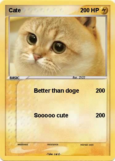 Pokemon Cate