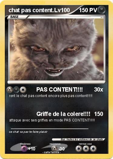 Pokemon chat pas content.Lv100