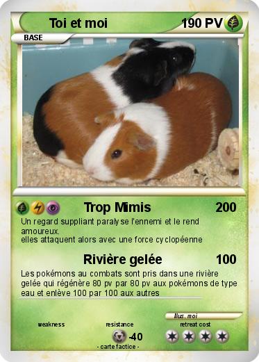 Pokemon Toi et moi