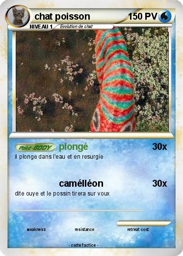Pokemon chat poisson