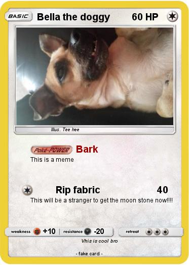 Pokemon Bella the doggy